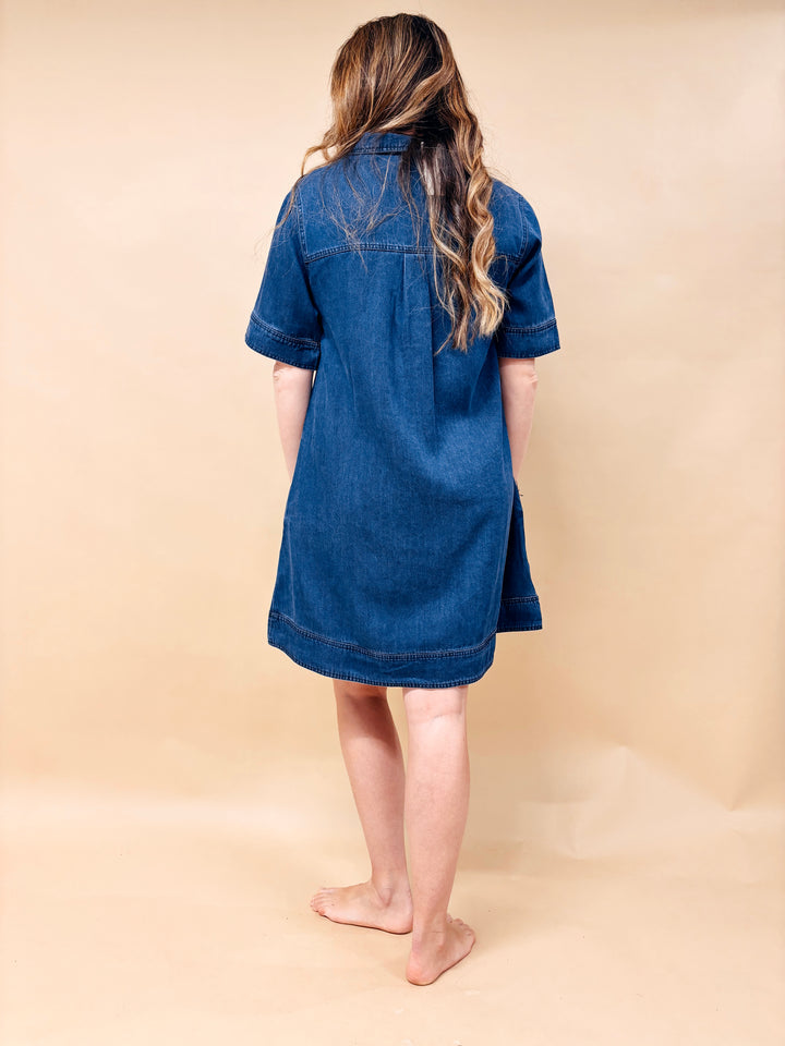 Candace Lyocell Denim Short Sleeve A-Line Dress