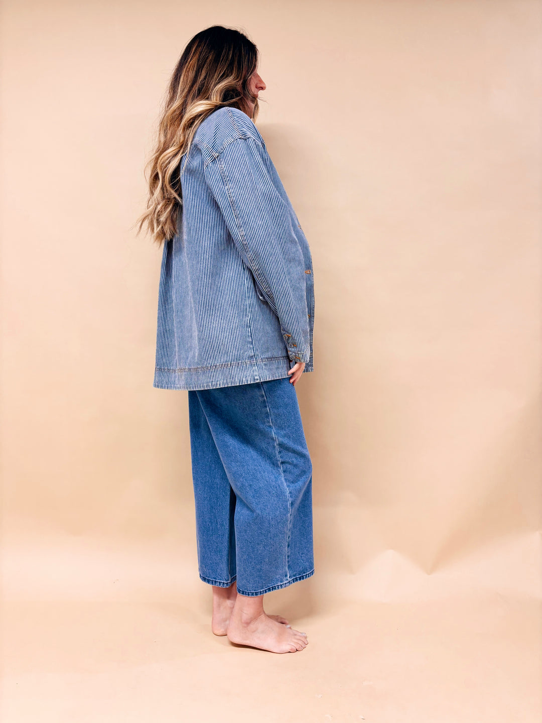 Mallory Striped Denim Barn Jacket