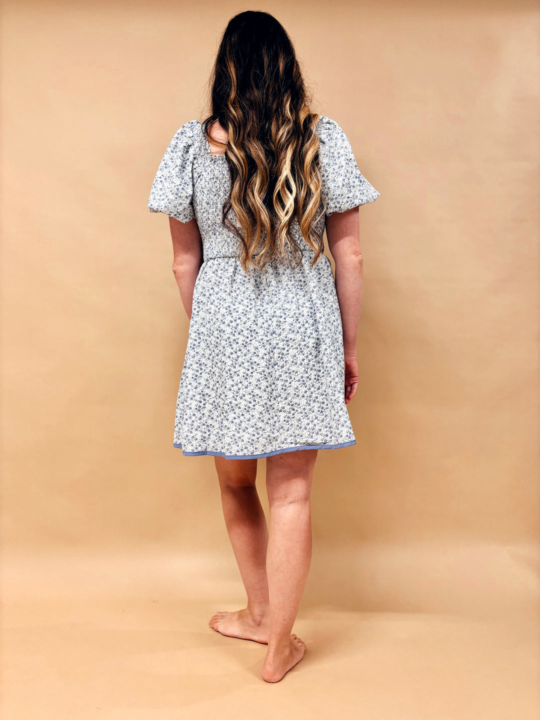 Melanie Romantic Mini Dress